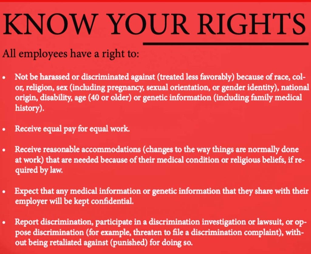 know your rights e1652726805694